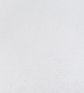 10757-05 Обои дек