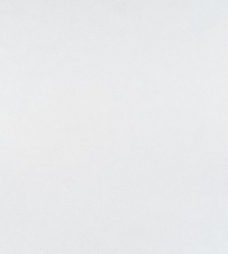 Обои однтонные бе