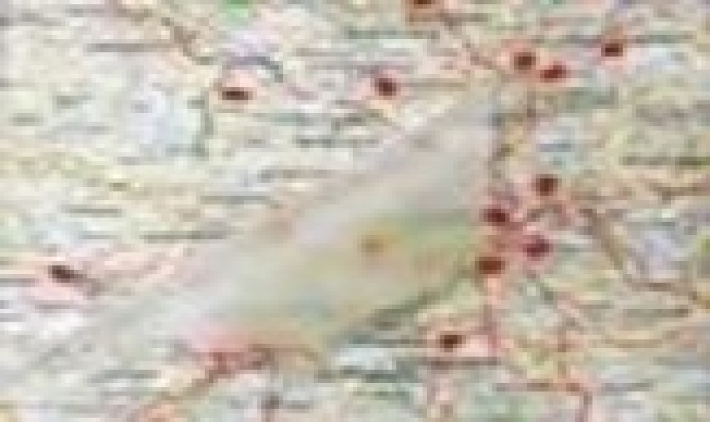 2000112 ПЛЕНКА/D-C-FIX/ширина 0,45 м/пленка 0,45*15м_прозрачная глянц_110004