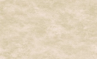 Обои бежевые с ри