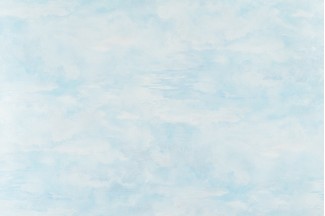 10879-03 Обои дек