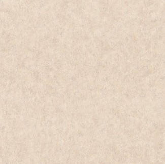 Бежевые однотонны