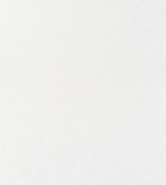 Обои белые одното