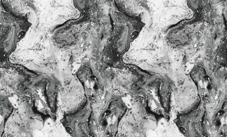 Обои виниловые че