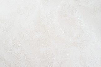 10888-01 Обои дек