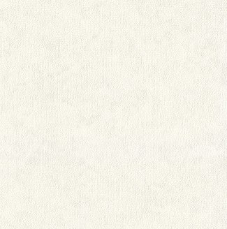 Обои виниловые бе