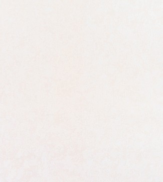 Обои бежевые одно