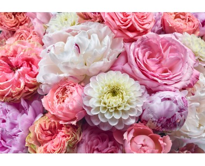 Фотообои большие 