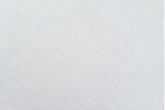 10905-01 Обои дек