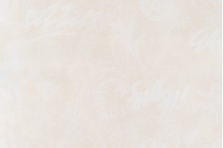 10909-02 Обои дек