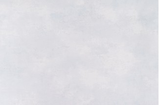 10834-02 Обои дек