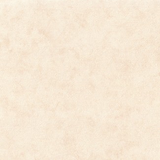 Обои бежевые одно