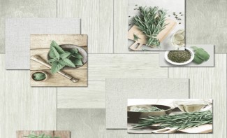 Обои зеленые с ри