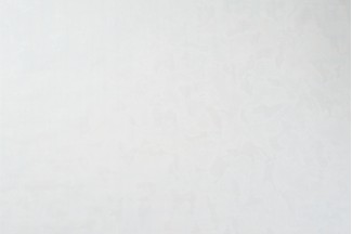 10913-01 Обои дек