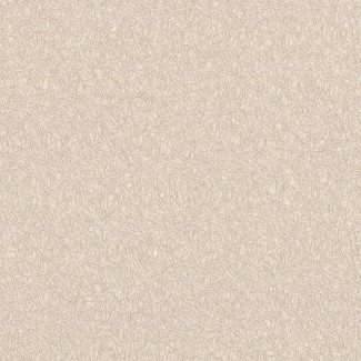 Обои бежевые одно