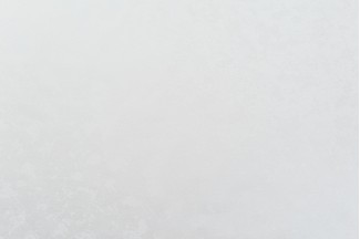 10883-01 Обои дек