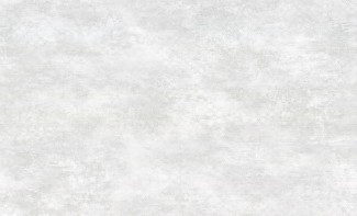 Обои серые с рису