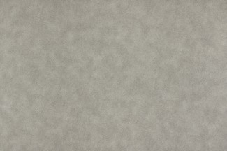 Обои серые одното