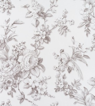 Обои белые с цвет