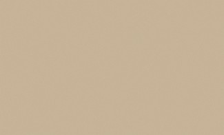 Бежевые виниловые