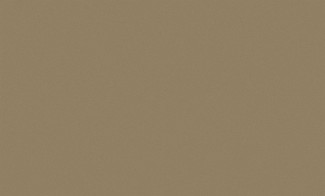 Коричневые винило