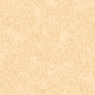 Обои бежевые одно